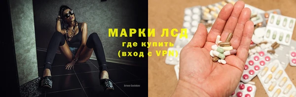 прущие грибы Горно-Алтайск