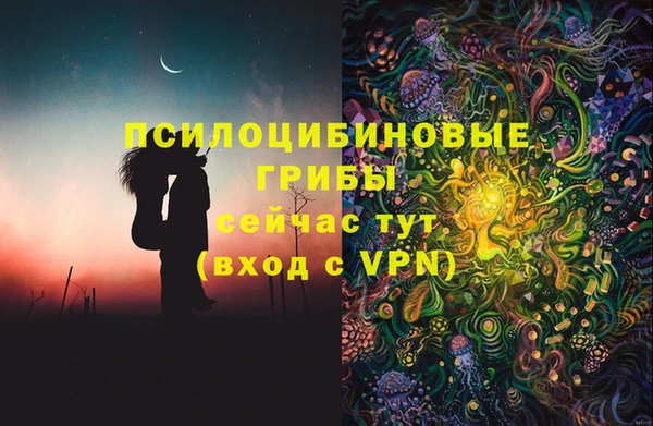 дмт Вязьма