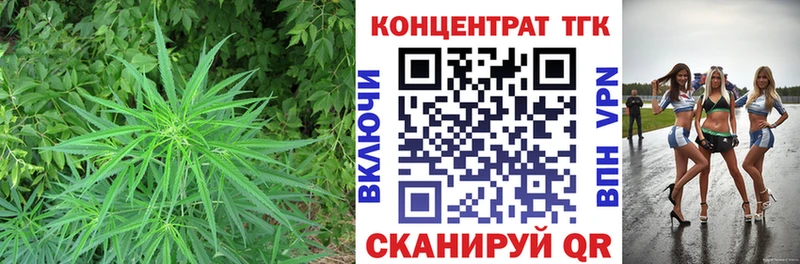 купить закладку  Горняк  Дистиллят ТГК гашишное масло 