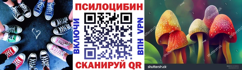 Галлюциногенные грибы Magic Shrooms  магазин продажи наркотиков  Горняк 